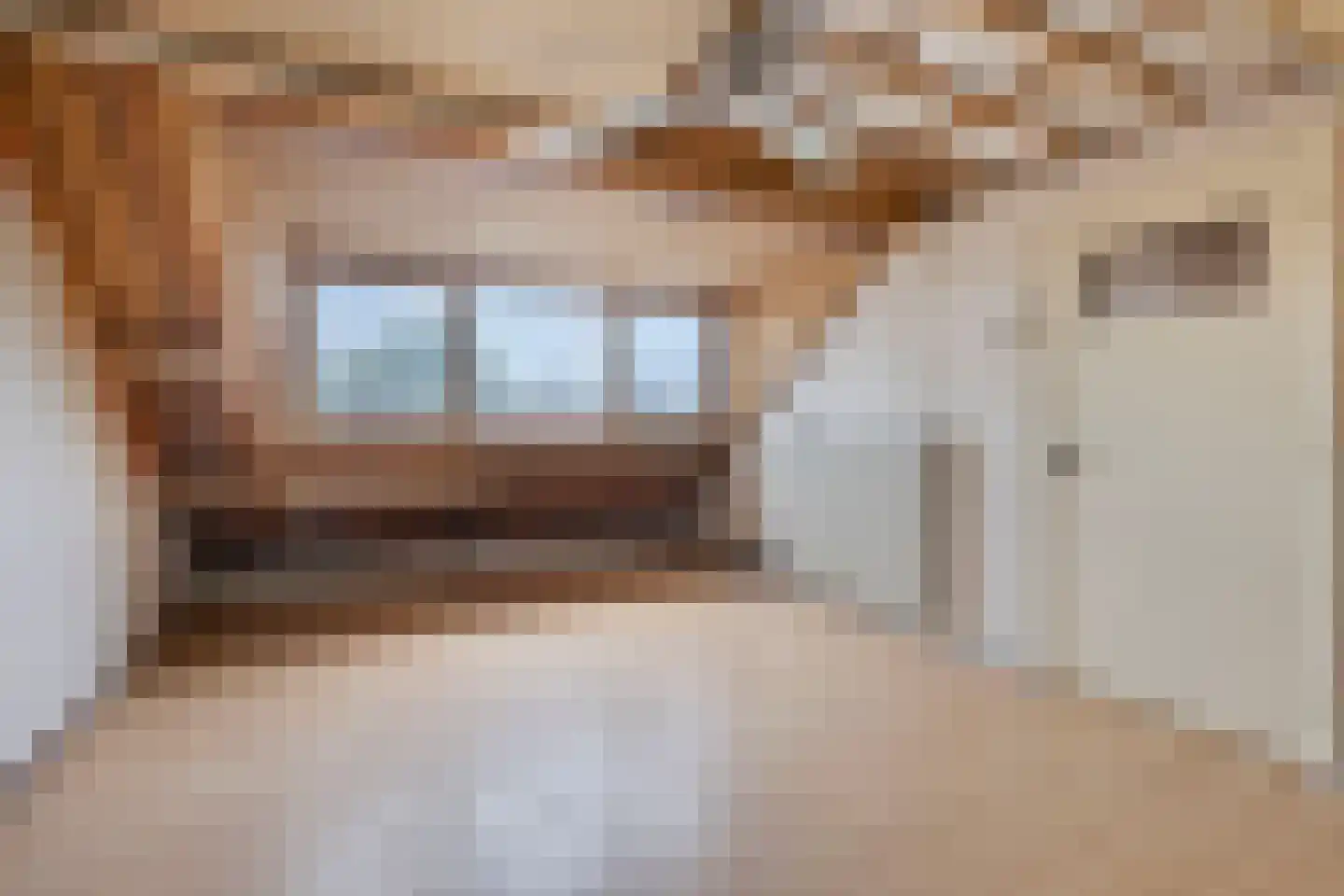 Jan Heynslaan 26 Eindhoven thumbnail 32