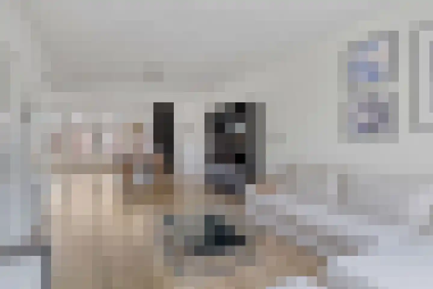 Jan Heynslaan 38 Eindhoven thumbnail 12