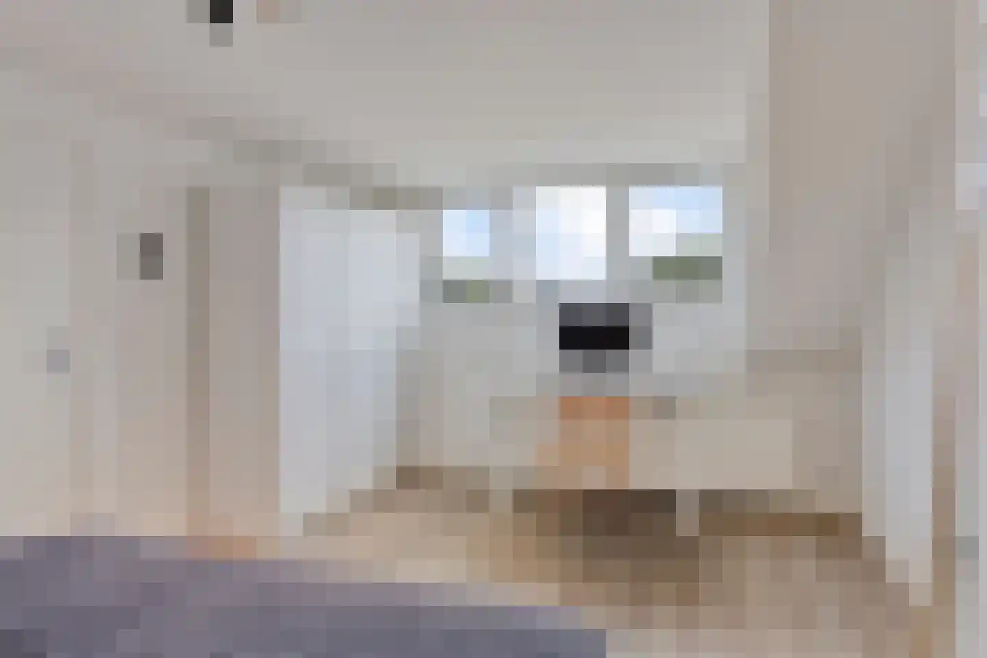 Jan Heynslaan 38 Eindhoven thumbnail 31