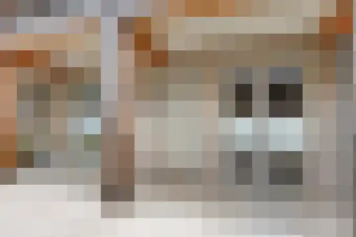 Jan Heynslaan 4 16 Eindhoven thumbnail 10