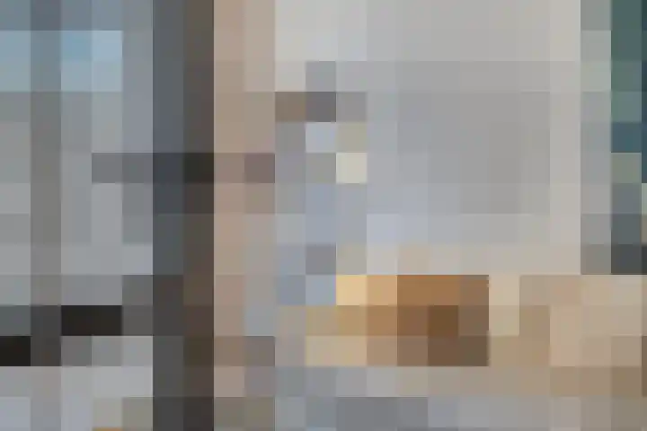 Jan Heynslaan 4 16 Eindhoven thumbnail 13