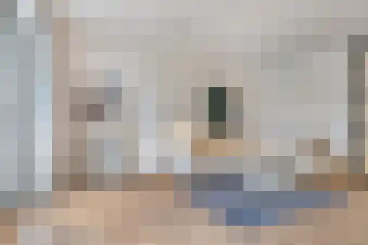 Jan Heynslaan 4 16 Eindhoven thumbnail 15