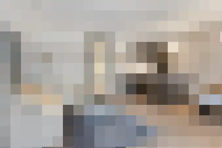 Jan Heynslaan 4 16 Eindhoven thumbnail 17
