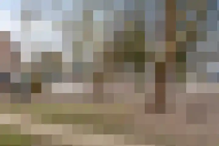 Jan Heynslaan 4 16 Eindhoven thumbnail 26