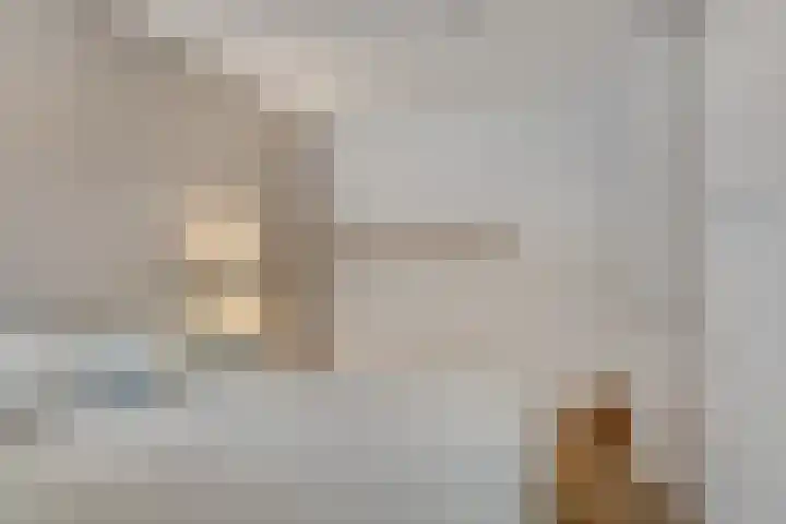 Jan Heynslaan 4 16 Eindhoven thumbnail 29