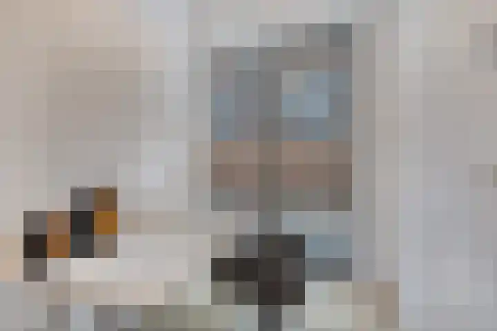 Jan Heynslaan 4 16 Eindhoven thumbnail 32