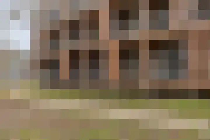 Jan Heynslaan 4 16 Eindhoven thumbnail 38