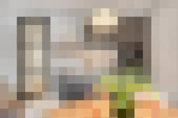 Jan Heynslaan 4 16 Eindhoven thumbnail 4