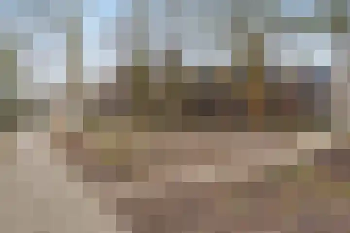 Jan Heynslaan 4 16 Eindhoven thumbnail 41