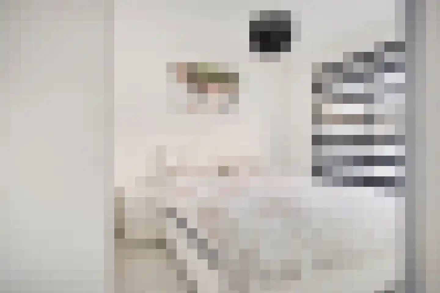 Jan Heynslaan 56 Eindhoven thumbnail 12