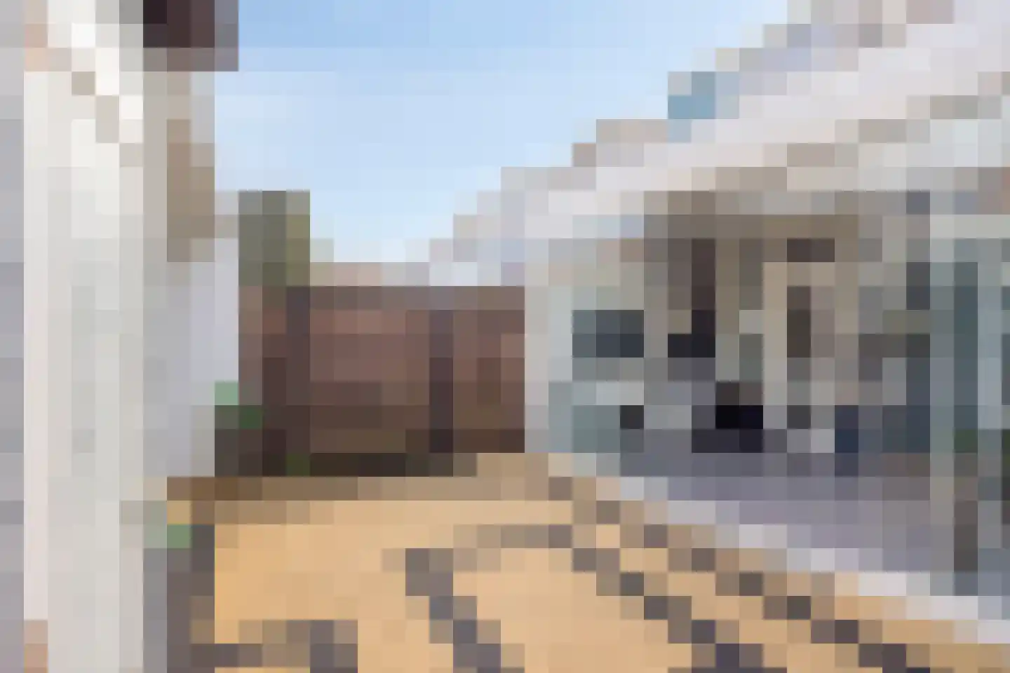 Jan Heynslaan 56 Eindhoven thumbnail 26