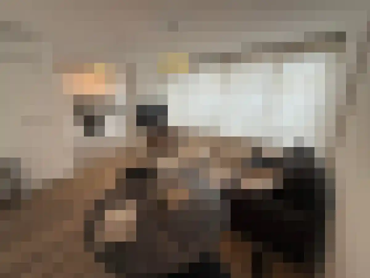 Jan Heynslaan Eindhoven thumbnail 4