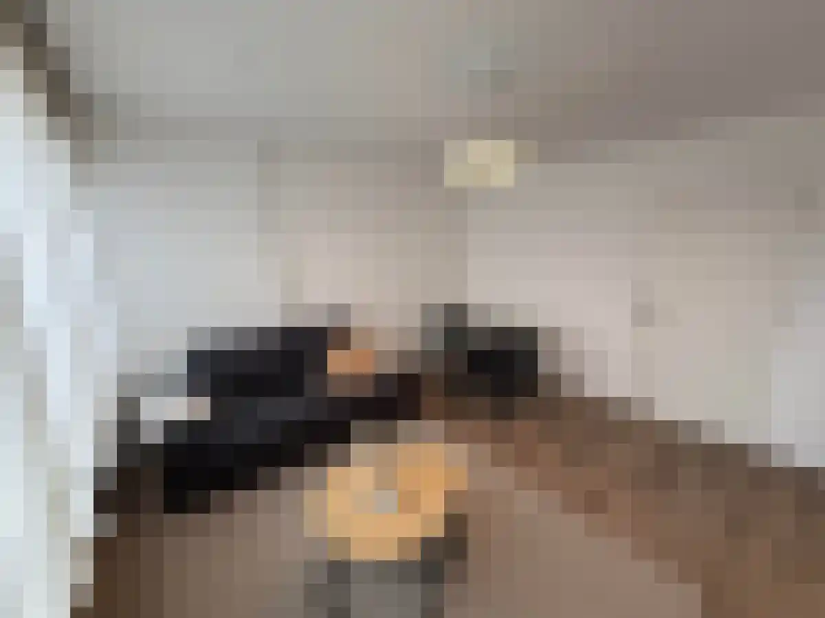 Jan Heynslaan Eindhoven thumbnail 5