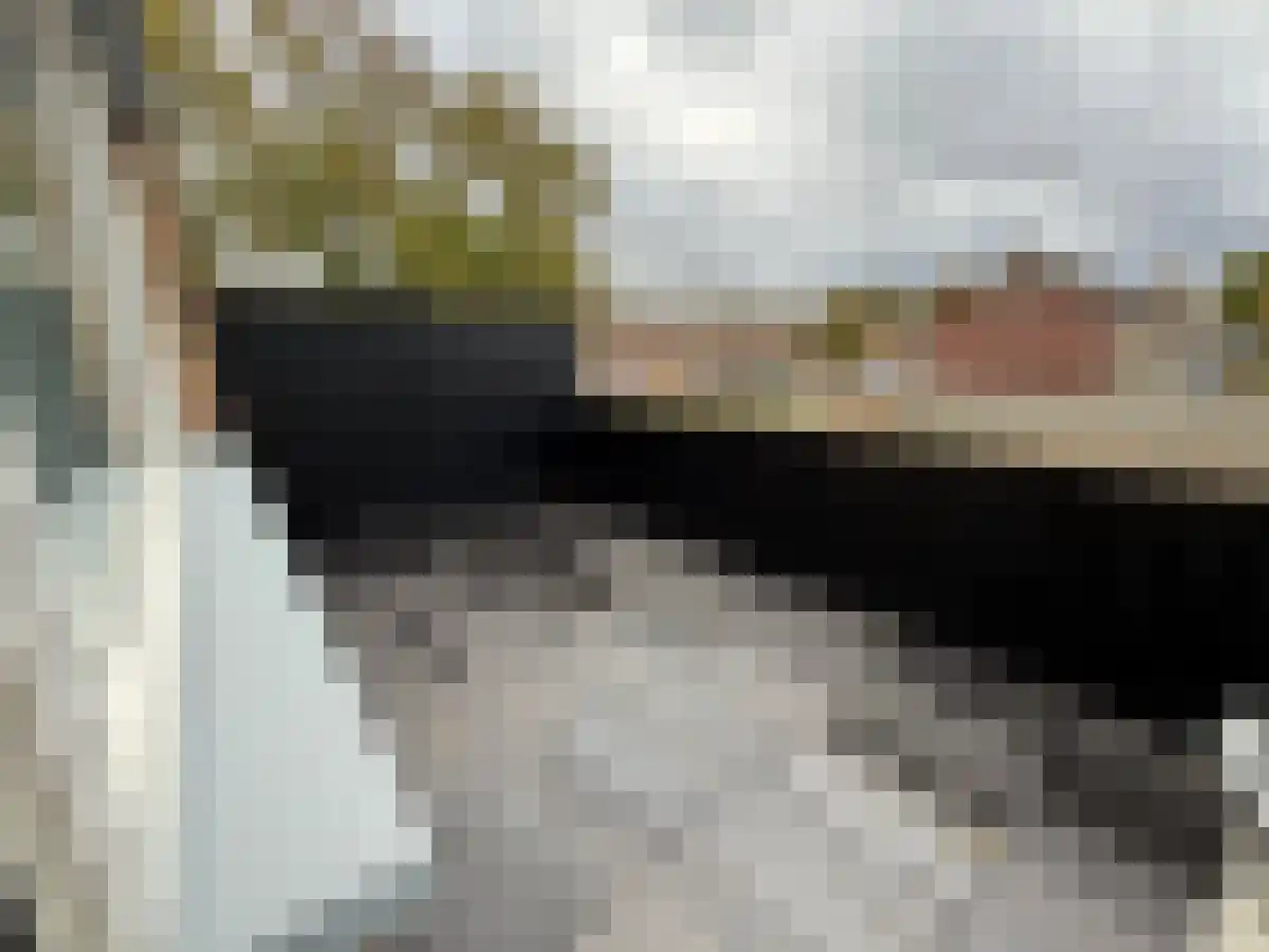 Jan Heynslaan Eindhoven thumbnail 6