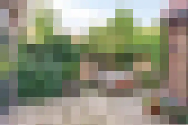 Jan Hezemansstraat 12 's-Hertogenbosch thumbnail 26
