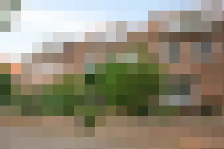 Jan Hezemansstraat 12 's-Hertogenbosch thumbnail 32