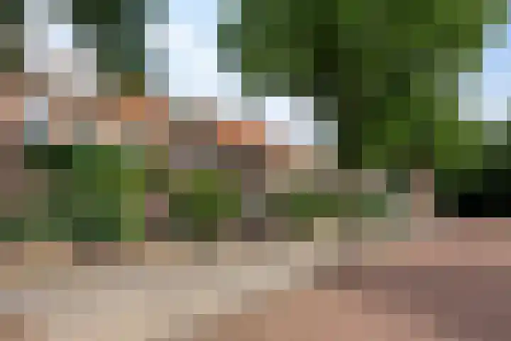 Jan Hezemansstraat 12 's-Hertogenbosch thumbnail 33