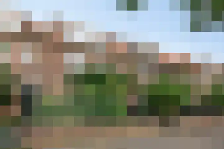 Jan Hezemansstraat 12 's-Hertogenbosch thumbnail 34