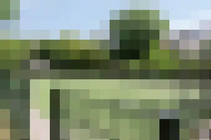 Jan Hezemansstraat 12 's-Hertogenbosch thumbnail 38