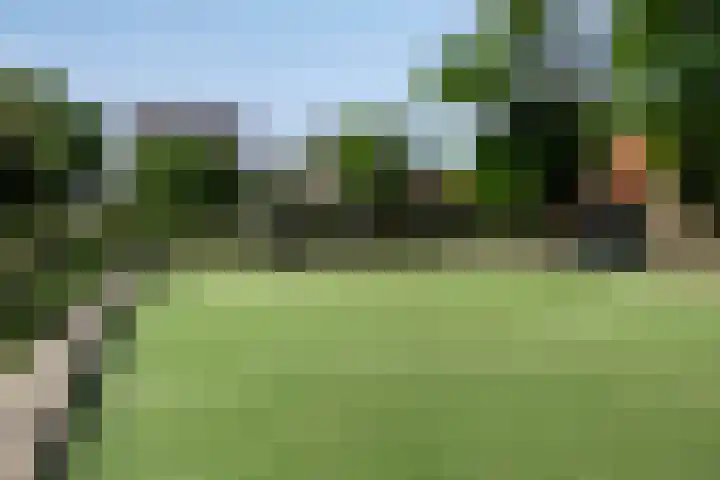 Jan Hezemansstraat 12 's-Hertogenbosch thumbnail 39