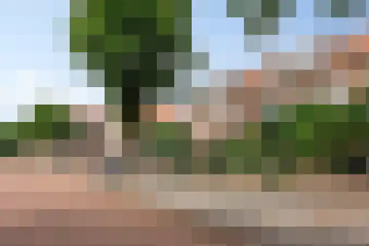 Jan Hezemansstraat 12 's-Hertogenbosch thumbnail 5