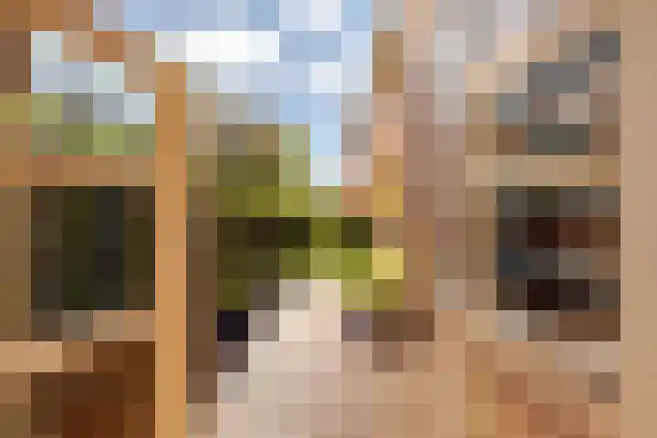 Jan Hissink Jansenstraat 19 Groningen thumbnail 30