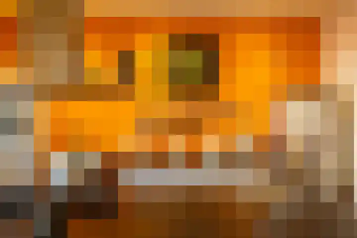 Jan Hissink Jansenstraat 19 Groningen thumbnail 7