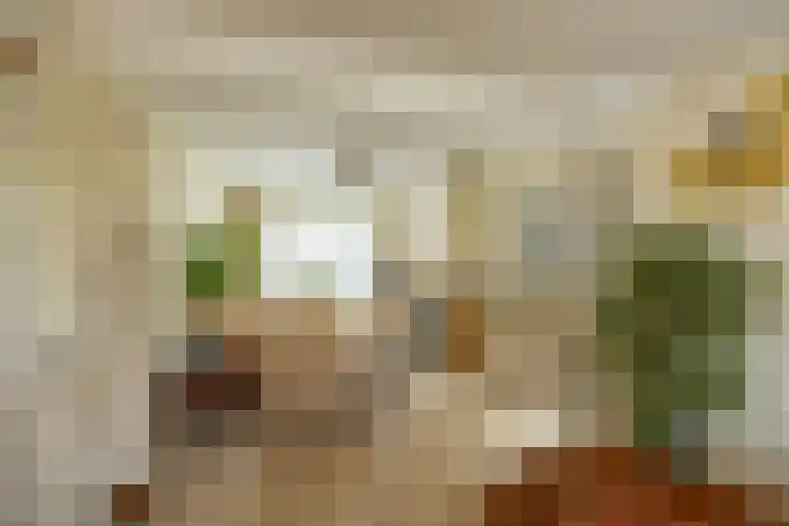 Jan Hissink Jansenstraat 20 Groningen thumbnail 12