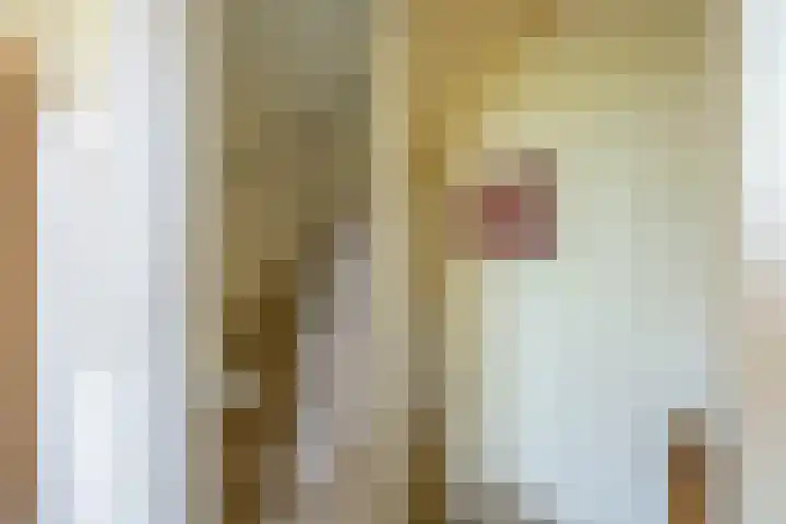 Jan Hissink Jansenstraat 20 Groningen thumbnail 22