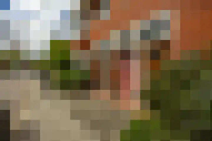 Jan Hissink Jansenstraat 20 Groningen thumbnail 30