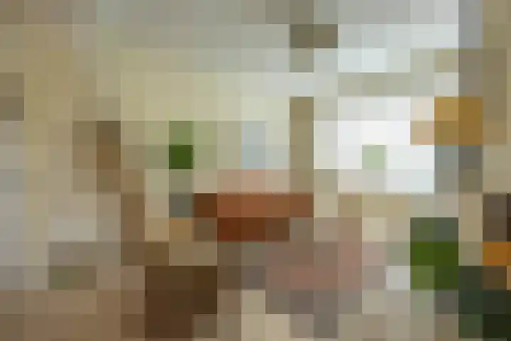 Jan Hissink Jansenstraat 20 Groningen thumbnail 7