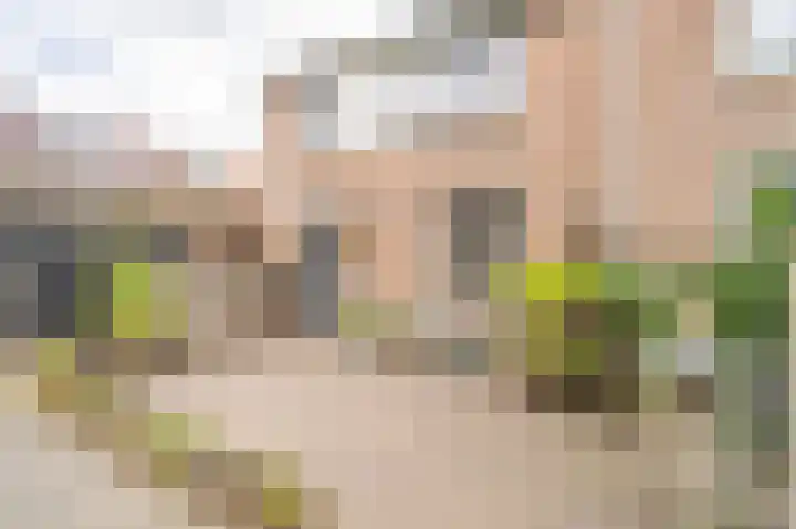 Jan Hoenlaan 14 Montfoort thumbnail 6