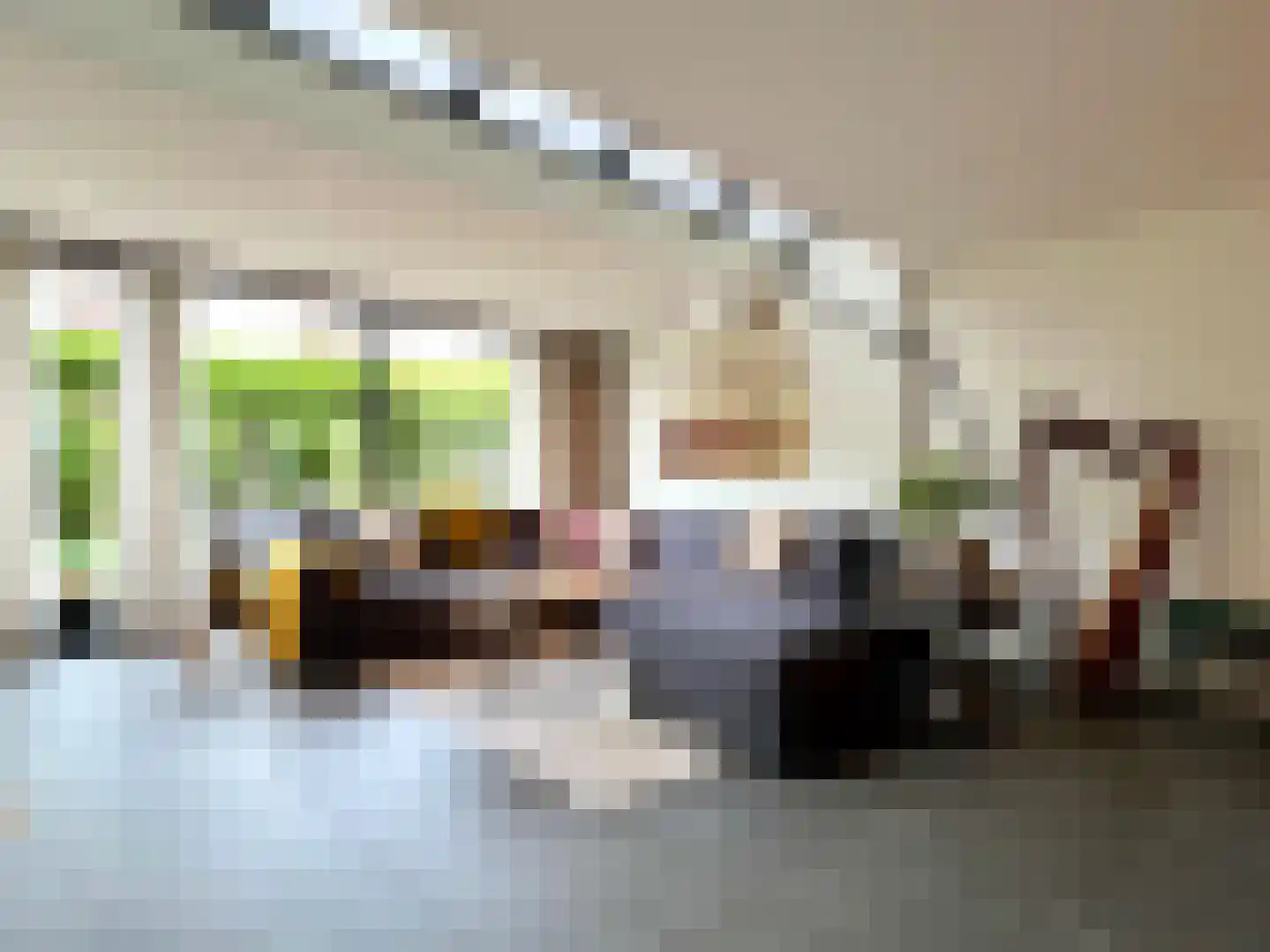 Jan Hoenlaan 22 Montfoort thumbnail 5