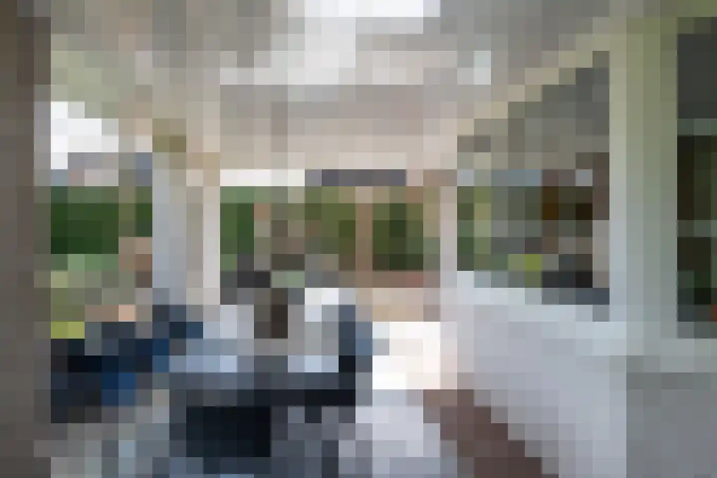 Jan Hokaarsstraat 37 Helmond thumbnail 47