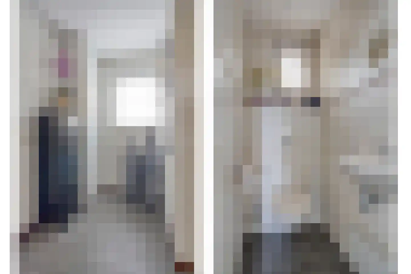 Jan Hokaarsstraat 8 Helmond thumbnail 10