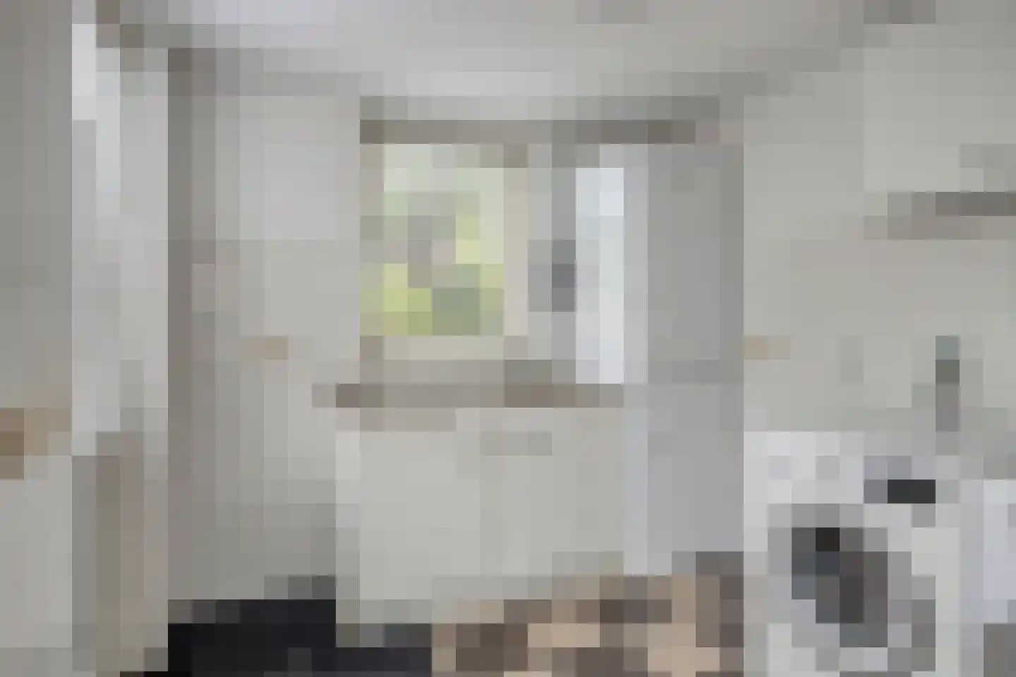 Jan Hokaarsstraat 8 Helmond thumbnail 20