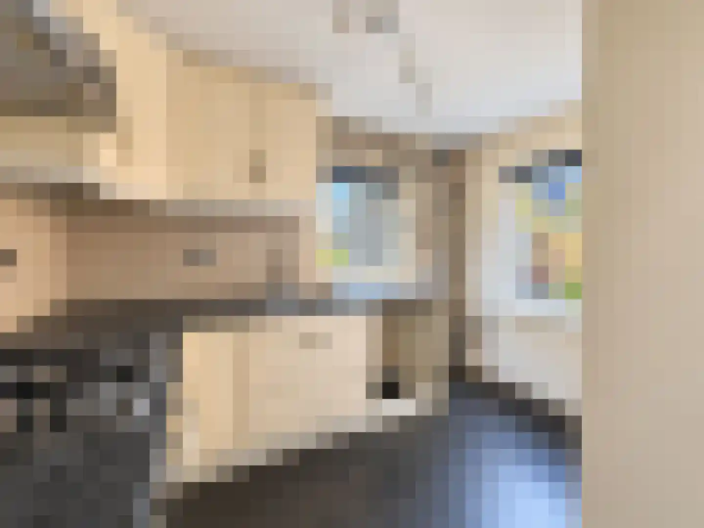 Jan Hooglandstraat 45 Olst thumbnail 7