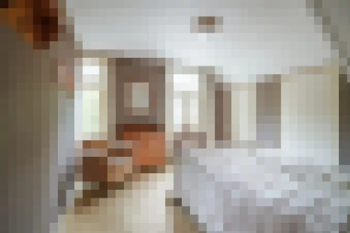 Jan Hooglandstraat 69 Olst thumbnail 20