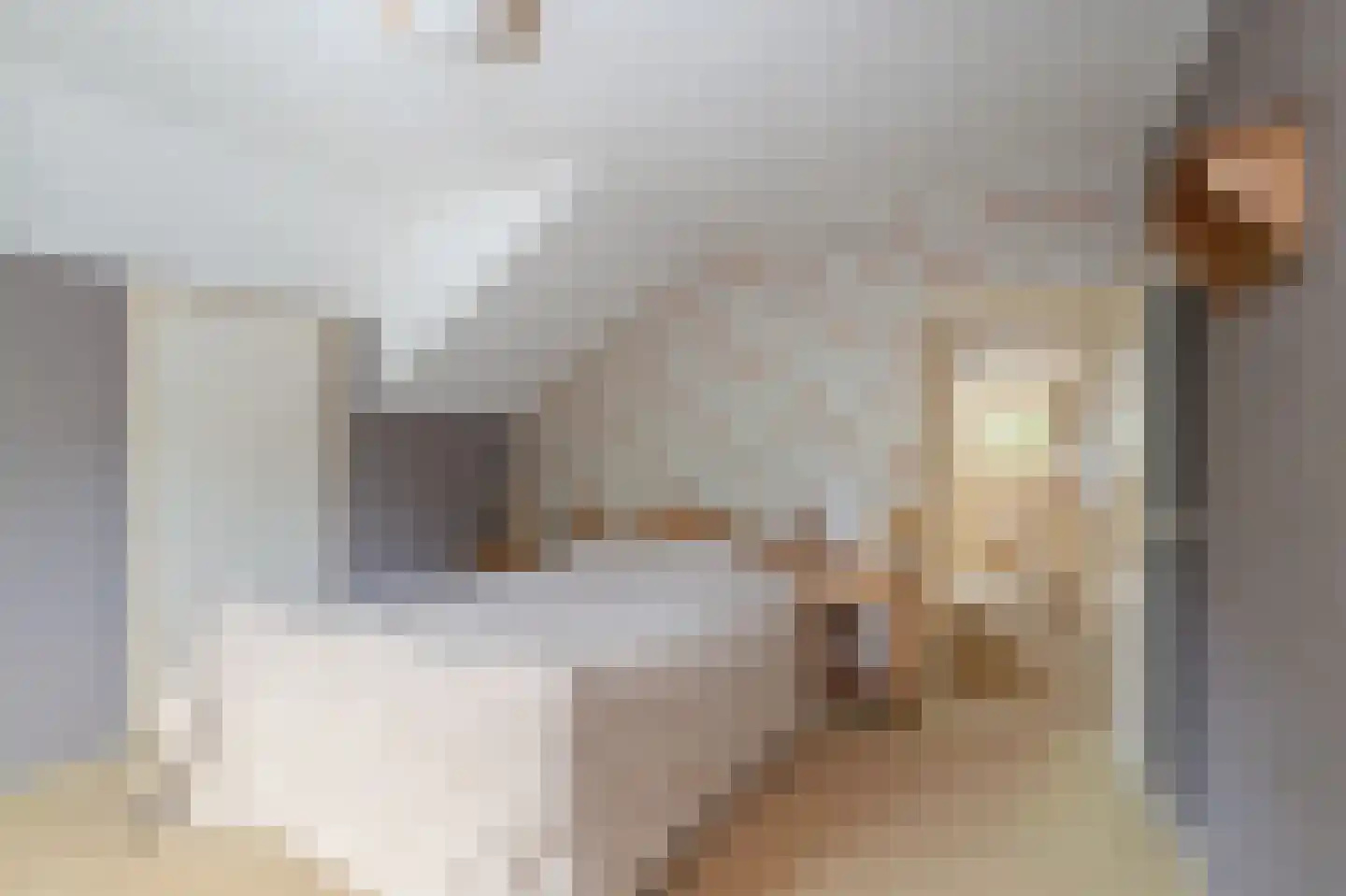 Jan Hooglandstraat 69 Olst thumbnail 21