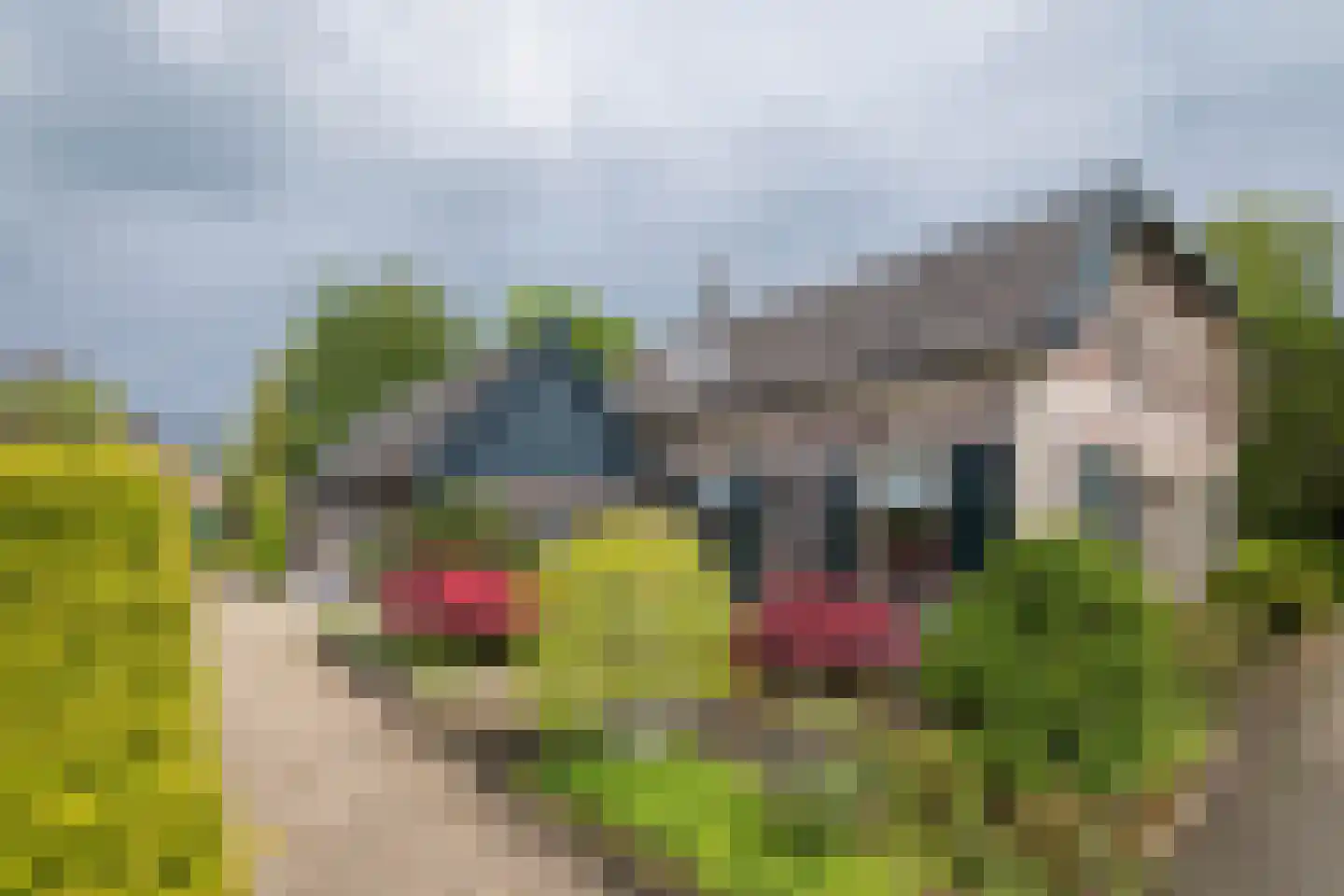 Jan Hooglandstraat 69 Olst thumbnail 29