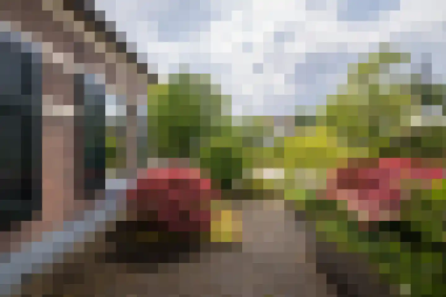 Jan Hooglandstraat 69 Olst thumbnail 31