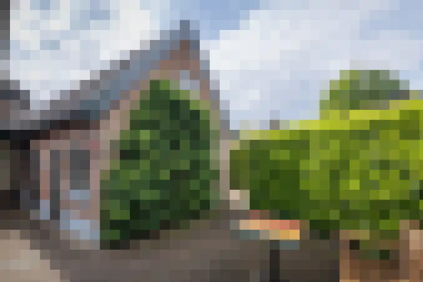 Jan Hooglandstraat 69 Olst thumbnail 35