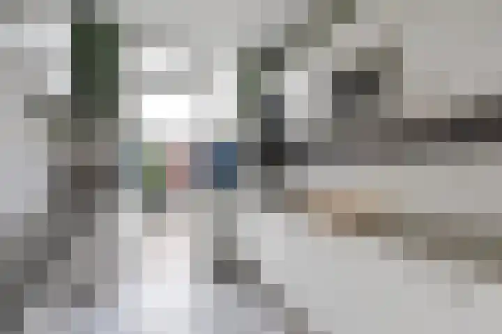 Jan Hoornstraat 1 A Zoetermeer thumbnail 13