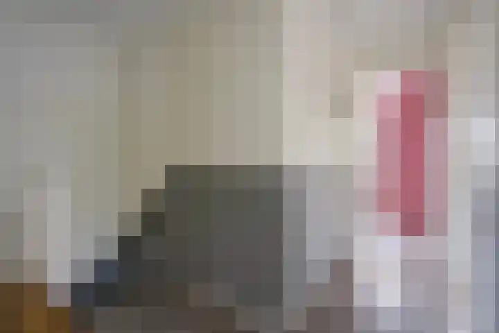 Jan Hoornstraat 1 A Zoetermeer thumbnail 23