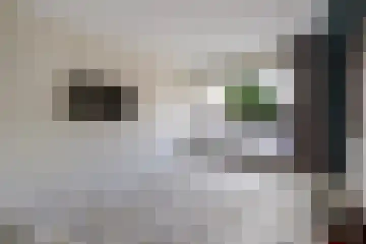 Jan Hoornstraat 1 A Zoetermeer thumbnail 26