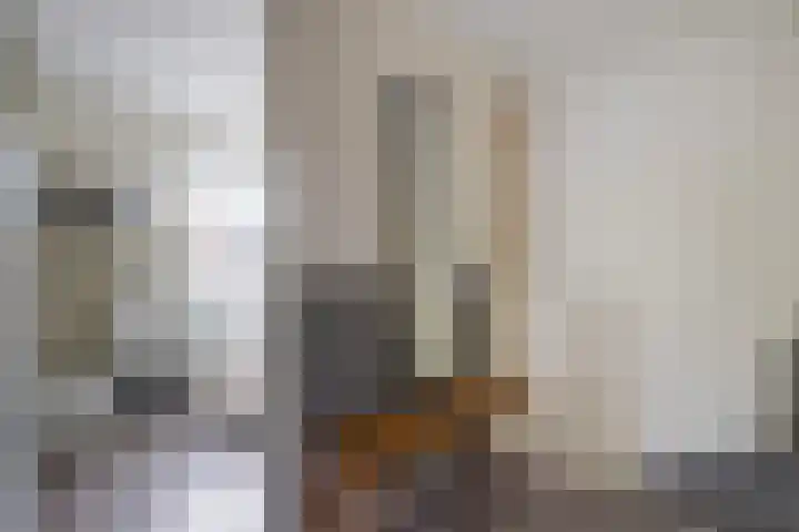 Jan Hoornstraat 1 A Zoetermeer thumbnail 35