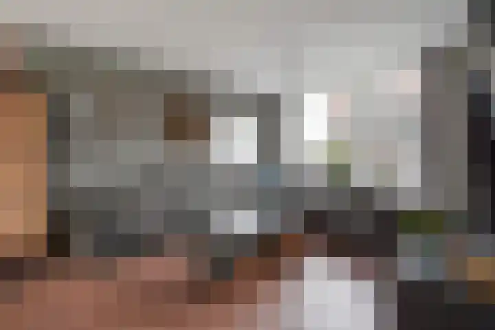 Jan Hoornstraat 1 A Zoetermeer thumbnail 5