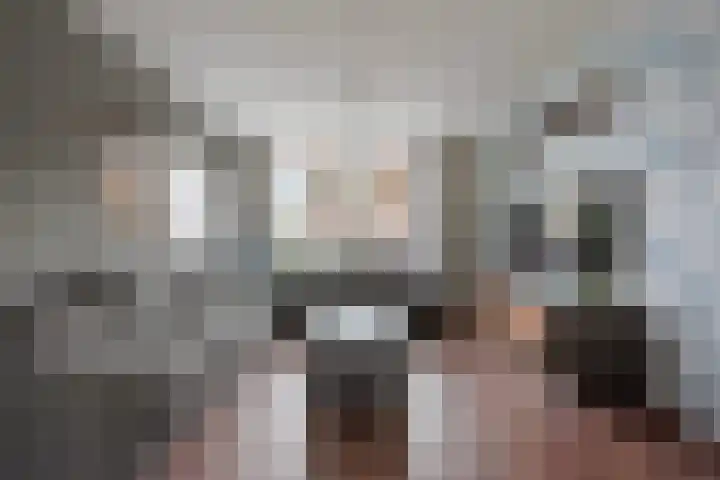 Jan Hoornstraat 1 A Zoetermeer thumbnail 6