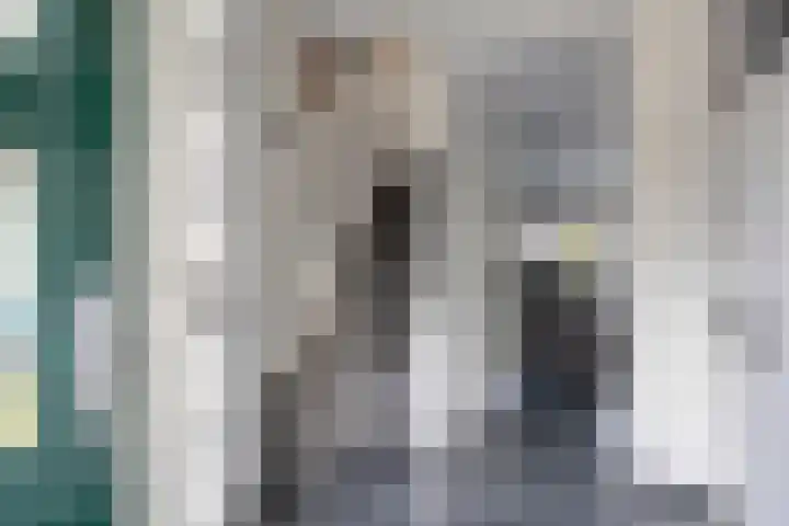 Jan Hoornstraat 12 Zoetermeer thumbnail 17