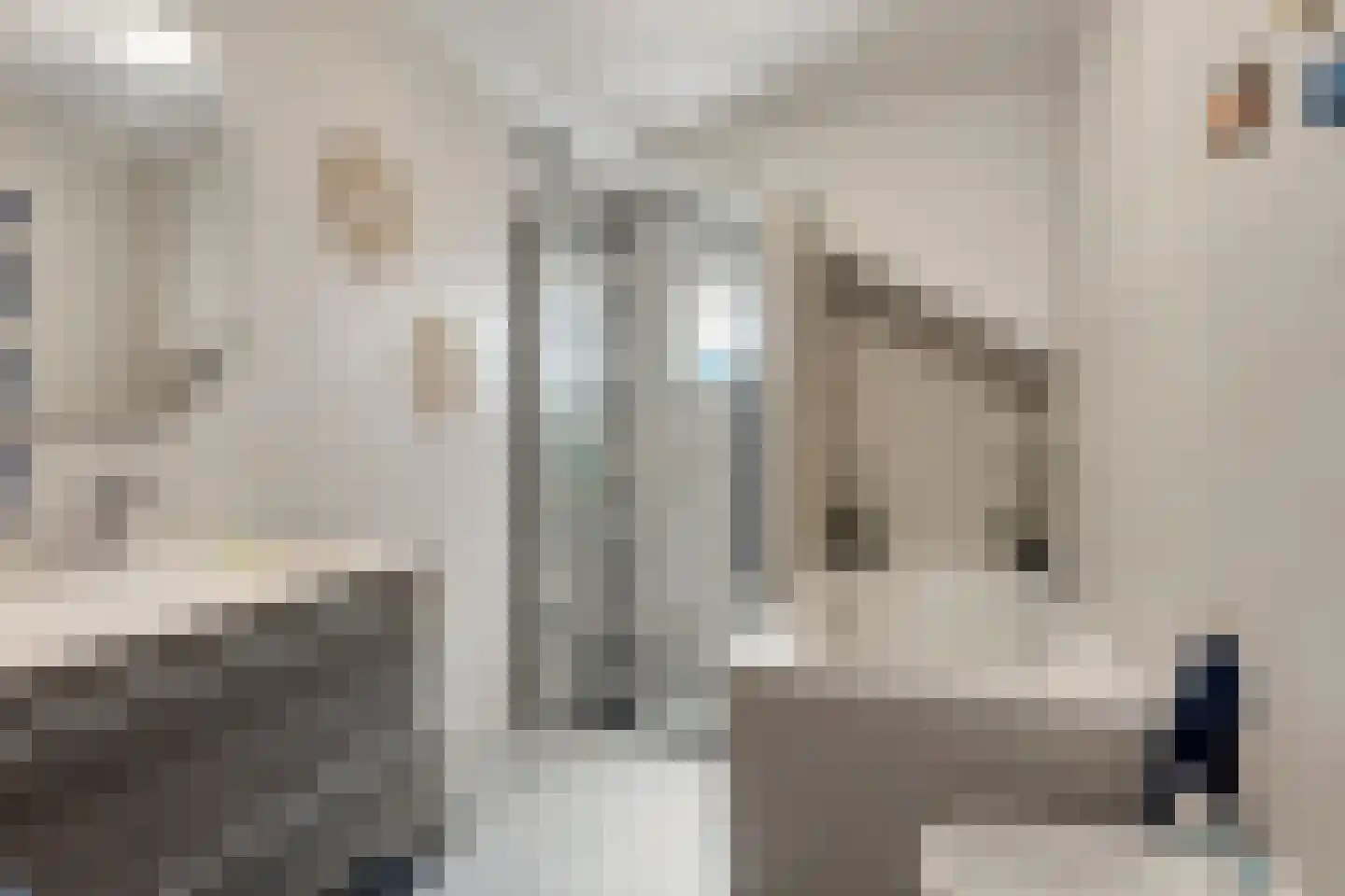 Jan Hoornstraat 20 Zoetermeer thumbnail 21